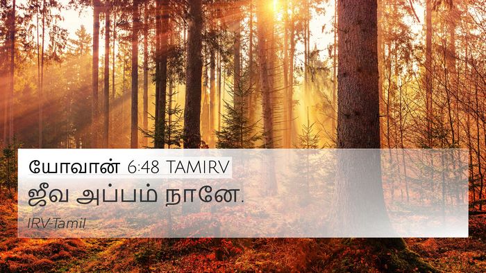 யோவான் 6:48 TAMIRV Bible Verse Image