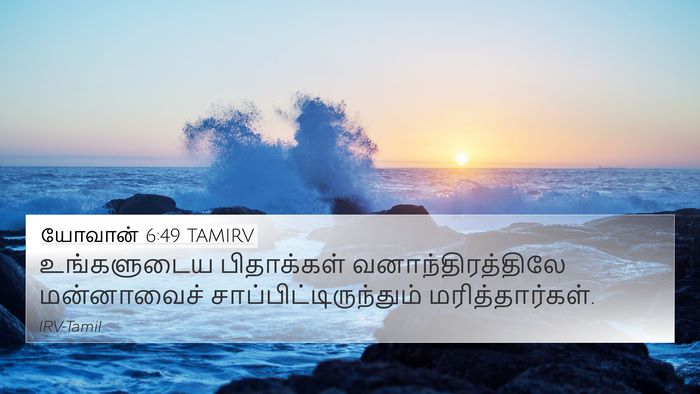 யோவான் 6:49 TAMIRV Bible Verse Image