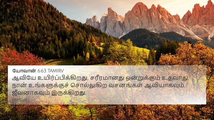 யோவான் 6:63 TAMIRV Bible Verse Image