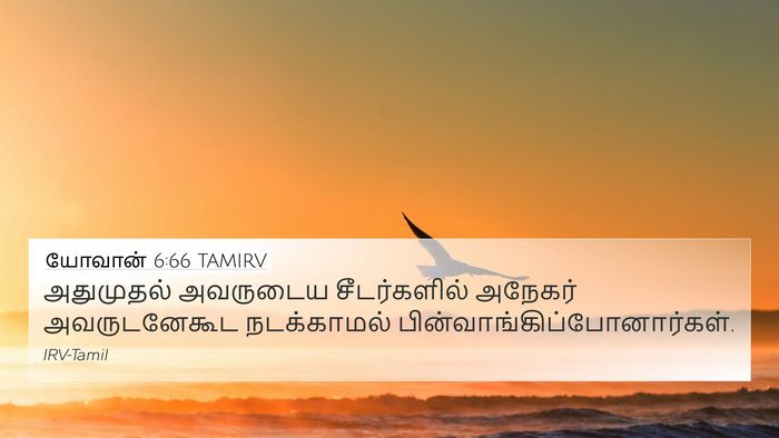 யோவான் 6:66 TAMIRV Bible Verse Image
