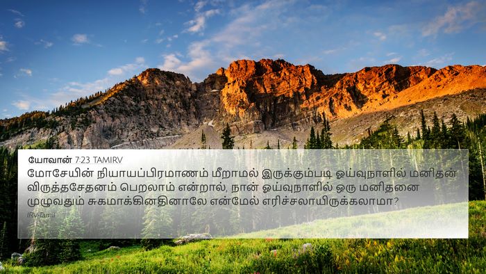 யோவான் 7:23 TAMIRV Bible Verse Image