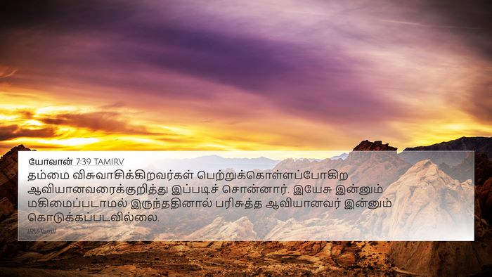 யோவான் 7:39 TAMIRV 4K Wallpaper - தம்மை - 4K Wallpaper Bible Verse