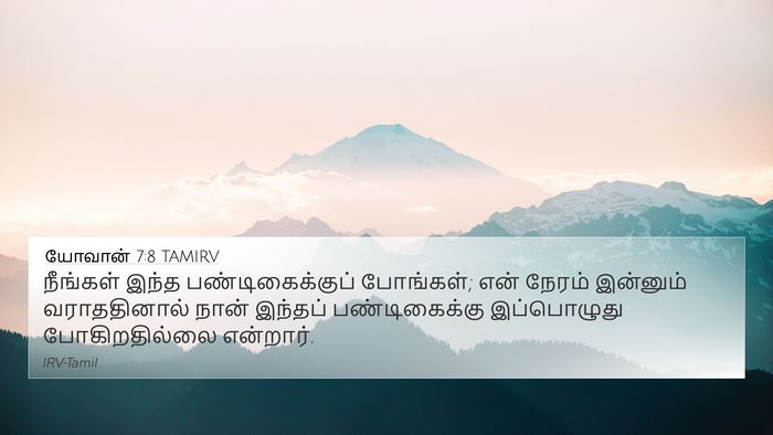 யோவான் 7:8 TAMIRV Bible Verse Image