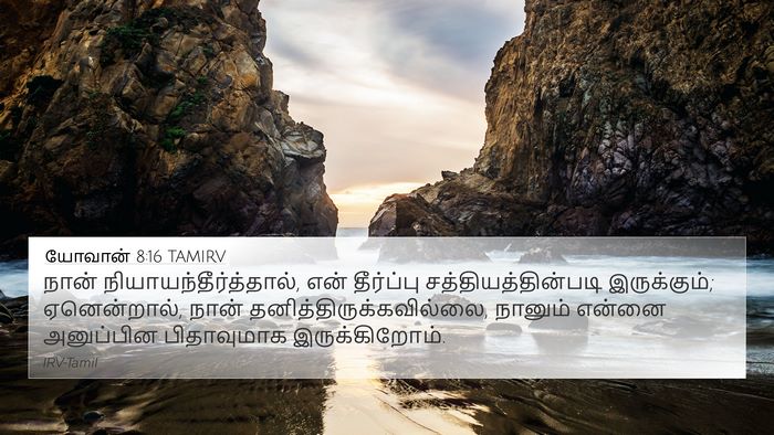 யோவான் 8:16 TAMIRV Bible Verse Image