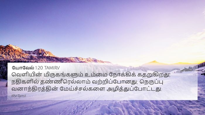 யோவேல் 1:20 TAMIRV Bible Verse Image