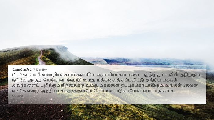 யோவேல் 2:17 TAMIRV Bible Verse Image