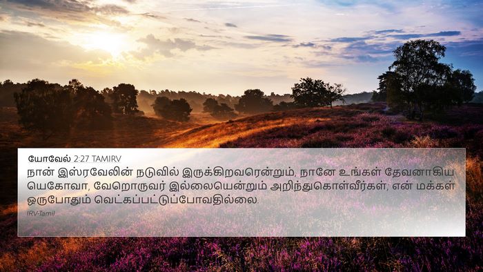யோவேல் 2:27 TAMIRV Bible Verse Image