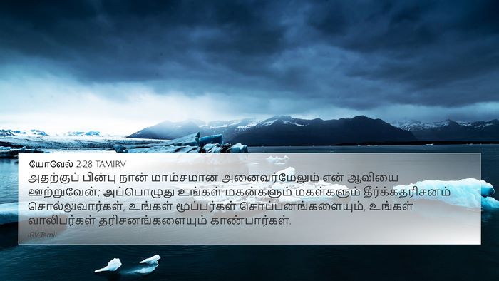 யோவேல் 2:28 TAMIRV Bible Verse Image