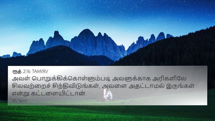 ரூத் 2:16 TAMIRV 4K Wallpaper - அவள் - 4K Wallpaper Bible Verse