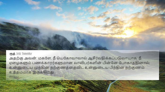 ரூத் 3:10 TAMIRV 4K Wallpaper - அதற்கு அவன்: மகளே, - 4K Wallpaper Bible Verse