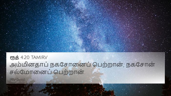 ரூத் 4:20 TAMIRV 4K Wallpaper - அம்மினதாப் - 4K Wallpaper Bible Verse