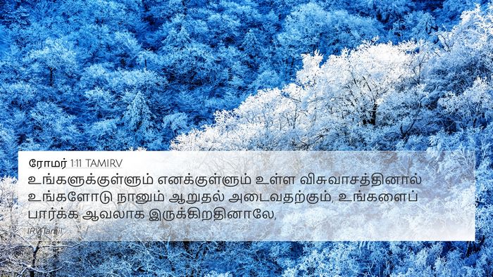 ரோமர் 1:11 TAMIRV Bible Verse Image