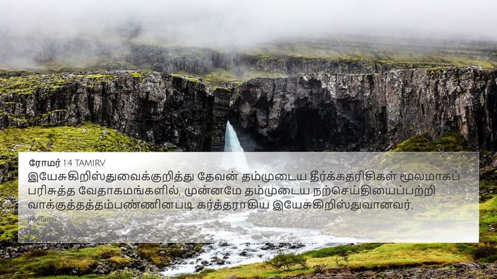 ரோமர் 1:4 TAMIRV Bible Verse Image
