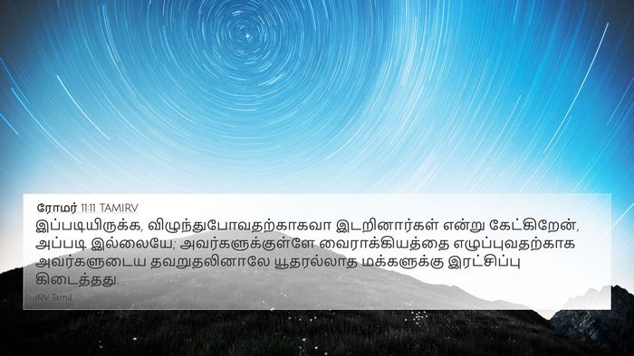ரோமர் 11:11 TAMIRV Bible Verse Image