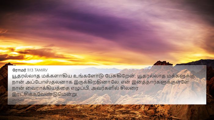 ரோமர் 11:13 TAMIRV Bible Verse Image