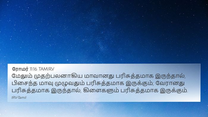 ரோமர் 11:16 TAMIRV Bible Verse Image