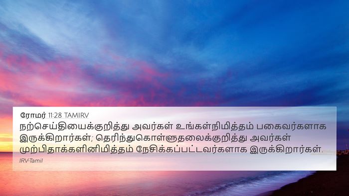 ரோமர் 11:28 TAMIRV Bible Verse Image