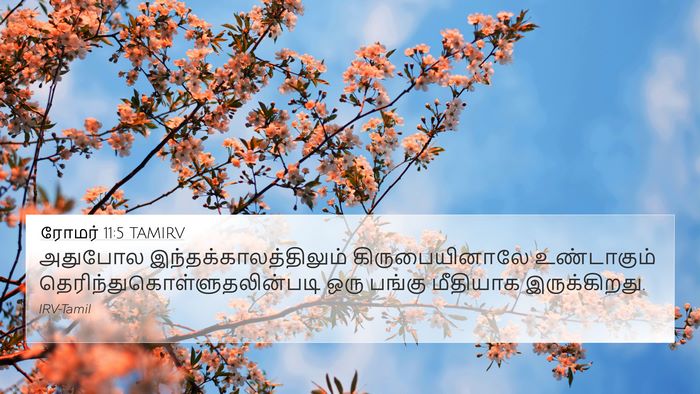 ரோமர் 11:5 TAMIRV Bible Verse Image