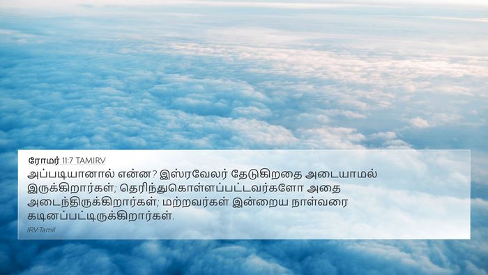 ரோமர் 11:7 TAMIRV Bible Verse Image