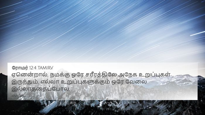 ரோமர் 12:4 TAMIRV Bible Verse Image
