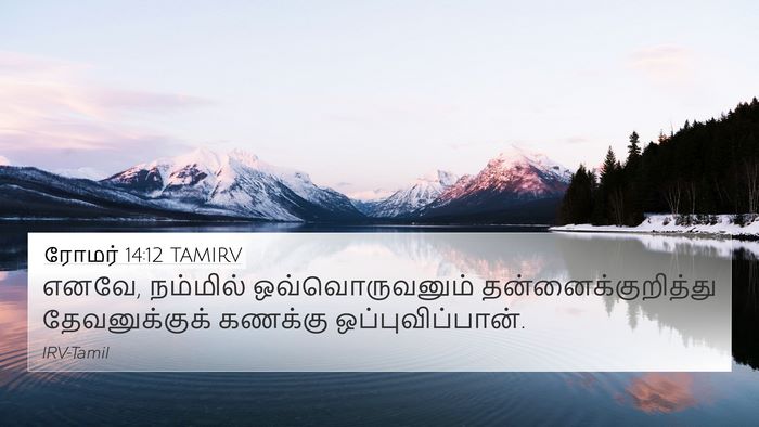 ரோமர் 14:12 TAMIRV Bible Verse Image