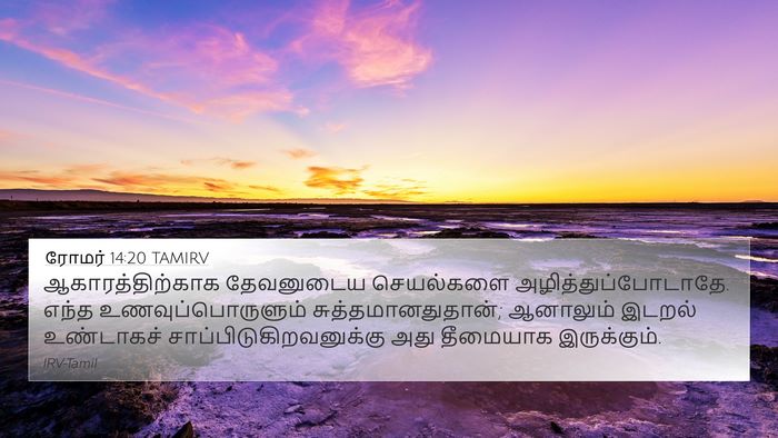 ரோமர் 14:20 TAMIRV Bible Verse Image