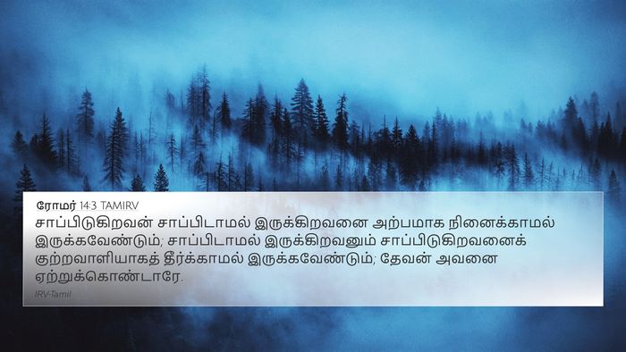 ரோமர் 14:3 TAMIRV Bible Verse Image