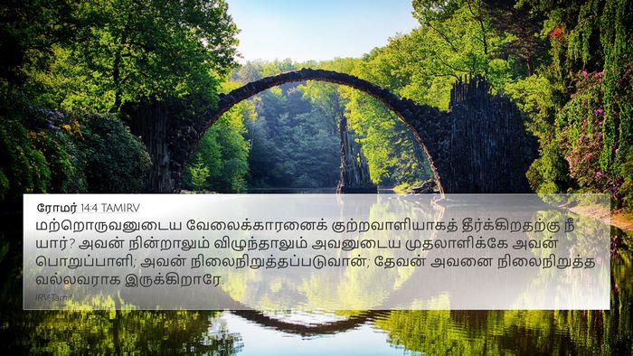 ரோமர் 14:4 TAMIRV Bible Verse Image