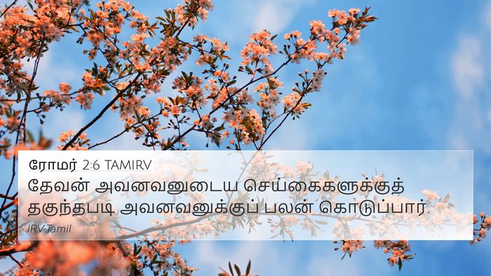 ரோமர் 2:6 TAMIRV Bible Verse Image