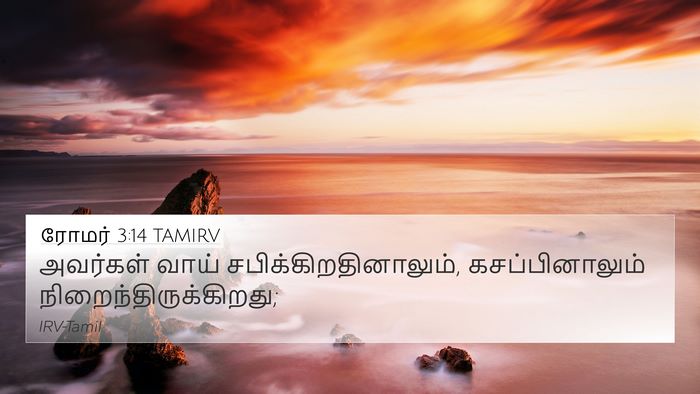 ரோமர் 3:14 TAMIRV Bible Verse Image