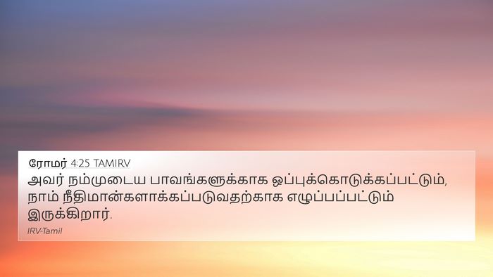 ரோமர் 4:25 TAMIRV Bible Verse Image
