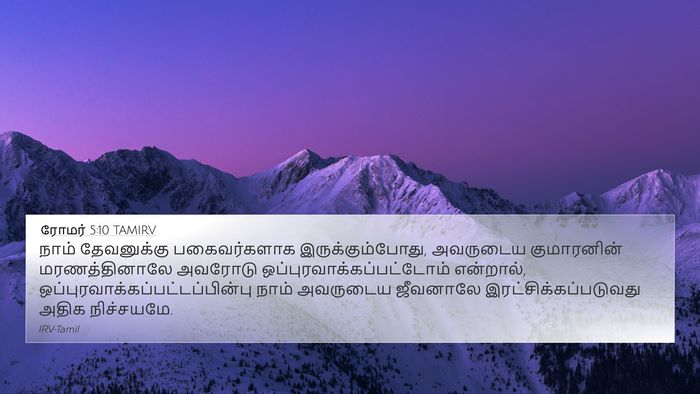ரோமர் 5:10 TAMIRV Bible Verse Image
