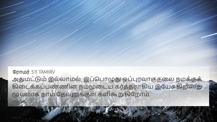 ரோமர் 5:11 TAMIRV Bible Verse Image