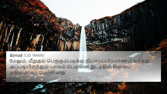 ரோமர் 5:20 TAMIRV Bible Verse Image