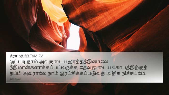 ரோமர் 5:9 TAMIRV Bible Verse Image