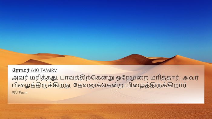 ரோமர் 6:10 TAMIRV Bible Verse Image