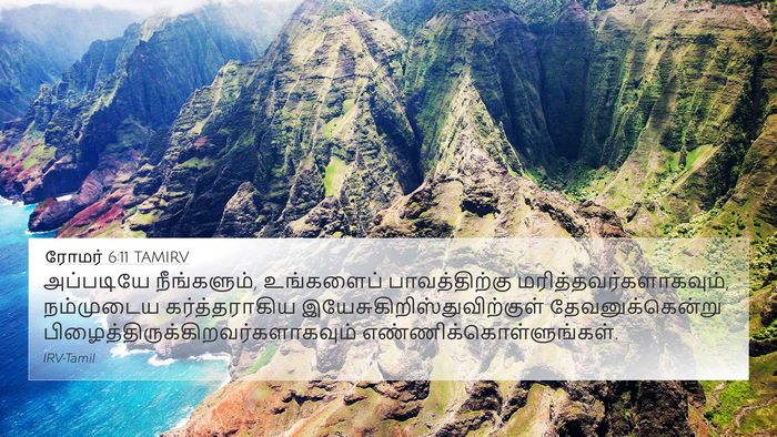 ரோமர் 6:11 TAMIRV Bible Verse Image