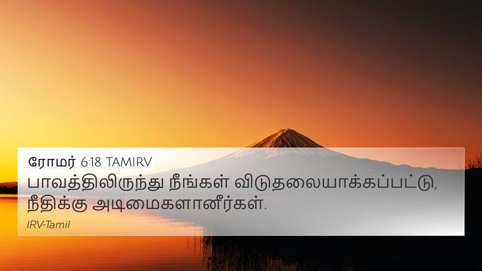 ரோமர் 6:18 TAMIRV Bible Verse Image