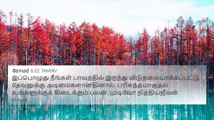 ரோமர் 6:22 TAMIRV Bible Verse Image