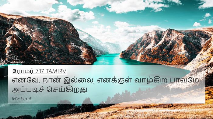 ரோமர் 7:17 TAMIRV Bible Verse Image