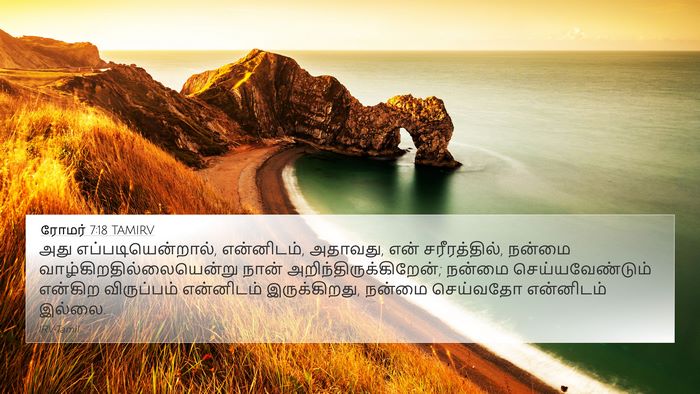 ரோமர் 7:18 TAMIRV Bible Verse Image