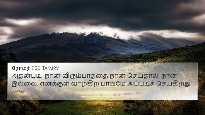 ரோமர் 7:20 TAMIRV 4K Wallpaper - அதன்படி, நான் - 4K Wallpaper Bible Verse