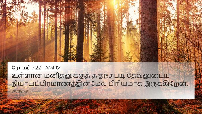 ரோமர் 7:22 TAMIRV Bible Verse Image
