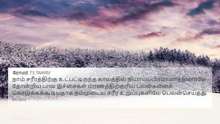 ரோமர் 7:5 TAMIRV Bible Verse Image