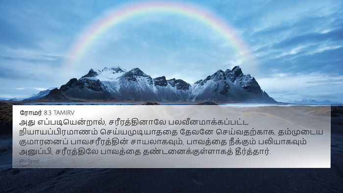 ரோமர் 8:3 TAMIRV Bible Verse Image