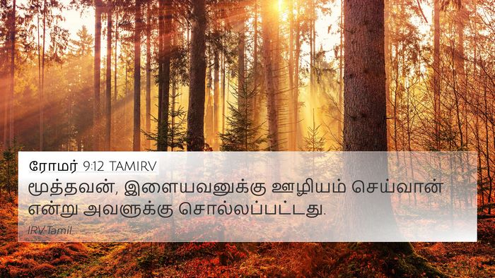 ரோமர் 9:12 TAMIRV 4K Wallpaper - மூத்தவன், - 4K Wallpaper Bible Verse