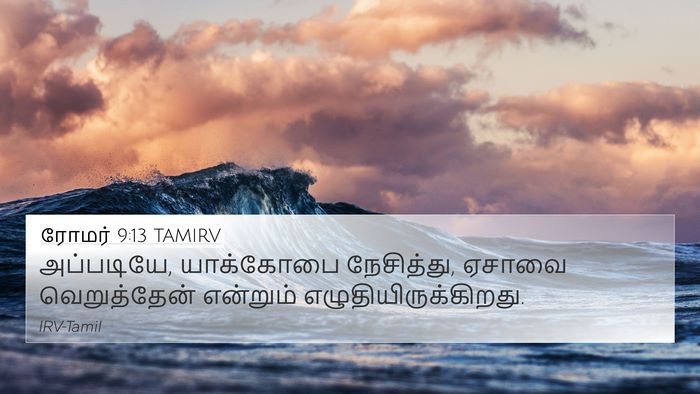 ரோமர் 9:13 TAMIRV Bible Verse Image