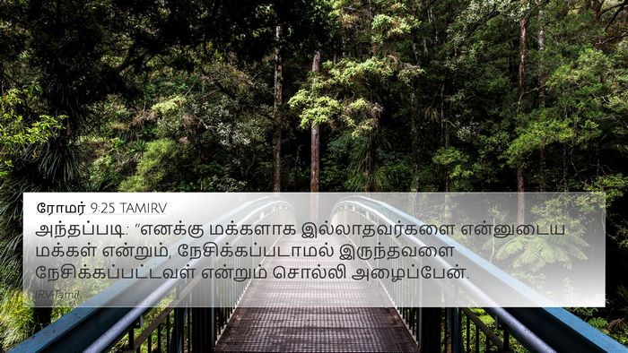 ரோமர் 9:25 TAMIRV Bible Verse Image