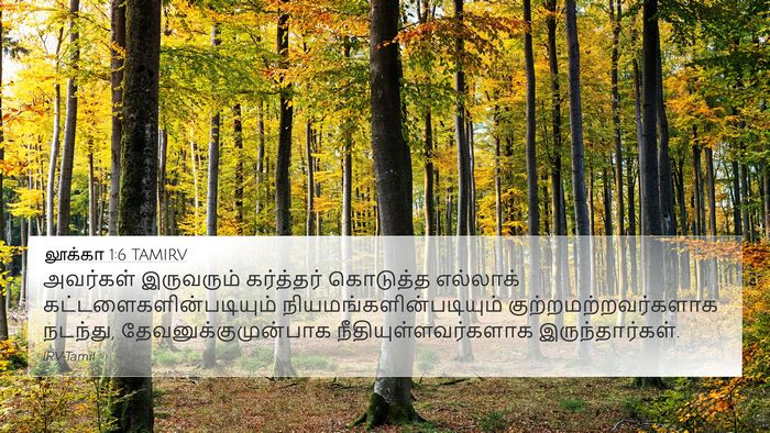 லூக்கா 1:6 TAMIRV Bible Verse Image