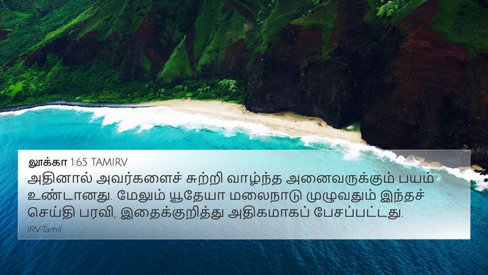 லூக்கா 1:65 TAMIRV Bible Verse Image